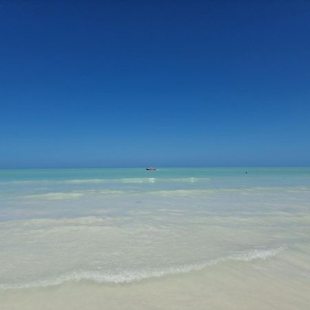 Luna Y Sol Glamping Holbox ภายนอก รูปภาพ