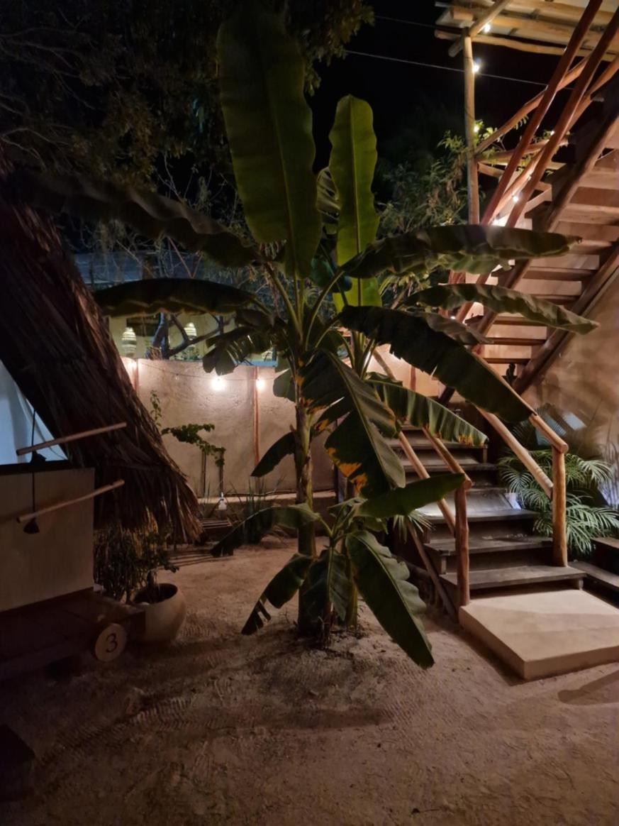 Luna Y Sol Glamping Holbox ภายนอก รูปภาพ